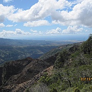Picture 037